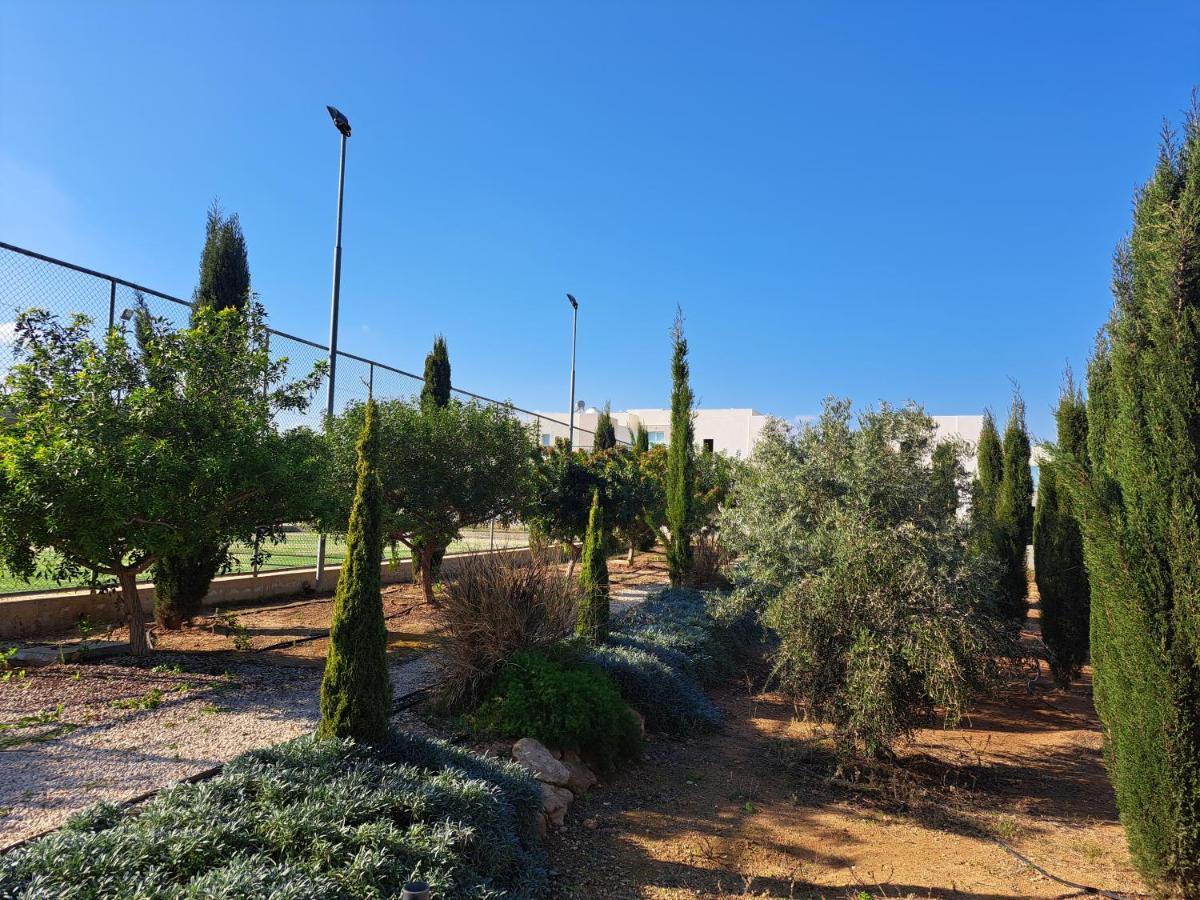 Carme At The Beach - Mythical Sands Paralimni Exterior foto